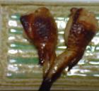 ちょっとつまんでいっ手羽